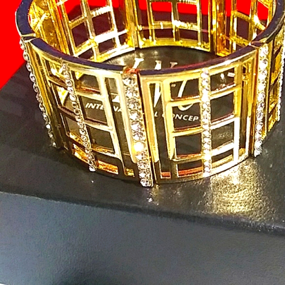 INC Pave Crystal Birdcage NWT
